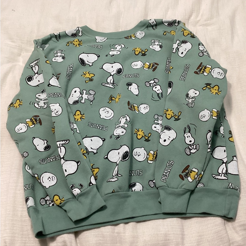 Peanuts Charlie Brown Snoopy Sweatshirt